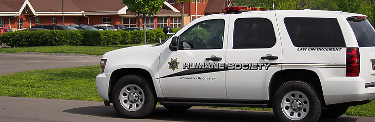 humane law enforcement